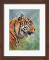 Lucky Tiger Fine Art Print