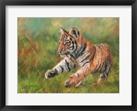 Tiger Cub Running Fine Art Print