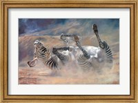 Zebra Rockin And Rollin Fine Art Print