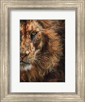 Lion Half Face Fine Art Print