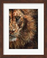 Lion Half Face Fine Art Print