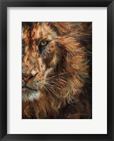 Lion Half Face Fine Art Print