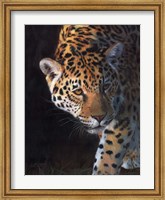 Jaguar Portrait 2 Fine Art Print