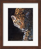 Jaguar Portrait 2 Fine Art Print