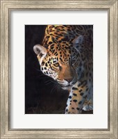 Jaguar Portrait 2 Fine Art Print
