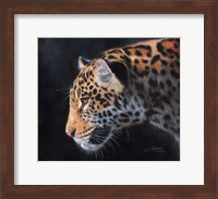 Jaguar Portrait Fine Art Print
