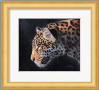 Jaguar Portrait Fine Art Print