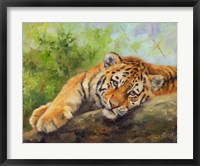 Tiger Cub Rock Fine Art Print
