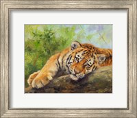 Tiger Cub Rock Fine Art Print