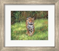 Jaguar Front Fine Art Print