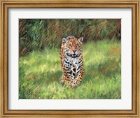 Jaguar Front Fine Art Print