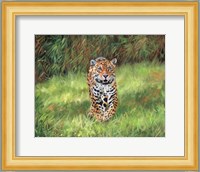 Jaguar Front Fine Art Print