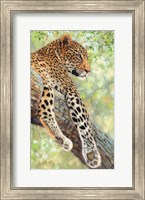 Leopard Tree Fine Art Print