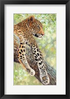 Leopard Tree Fine Art Print