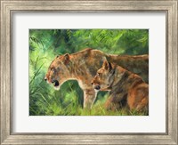Lionesses Fine Art Print