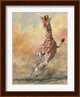Young Giraffe Running Fine Art Print