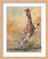 Young Giraffe Running Fine Art Print