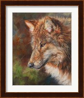 Grey Wolf Face Fine Art Print