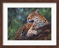 Jaguar In Tree Fine Art Print