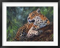 Jaguar In Tree Fine Art Print