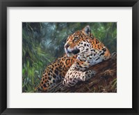 Jaguar In Tree Framed Print