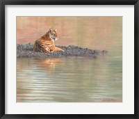 Tiger Water Repose Fine Art Print