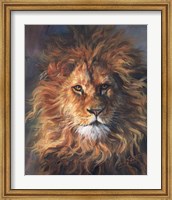 Lion Portrait Fine Art Print