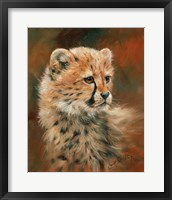 Cheetah Cub Portrait Fine Art Print