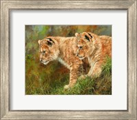 Lion Siblings Fine Art Print