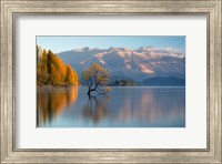 Wanaka Fine Art Print