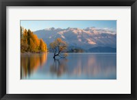 Wanaka Fine Art Print