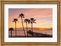 Sunset & Palms Fine Art Print