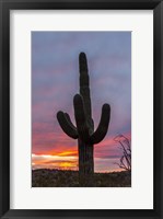 Cactus 2 Fine Art Print