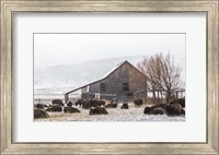 Colorado Barn Fine Art Print