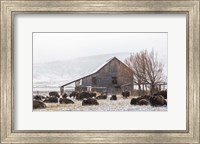 Colorado Barn Fine Art Print
