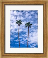 Palms & Blue Skies Fine Art Print