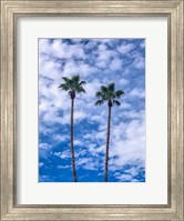 Palms & Blue Skies Fine Art Print