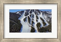 Ski Trail Fine Art Print