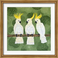 Cockatoo Trio Fine Art Print