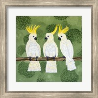 Cockatoo Trio Fine Art Print