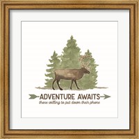 Lost in Woods II-Adventure Awaits Fine Art Print