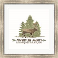 Lost in Woods II-Adventure Awaits Fine Art Print