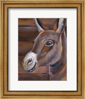Barn Donkey Fine Art Print