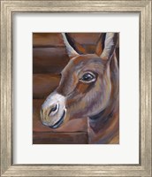 Barn Donkey Fine Art Print