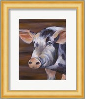 Barn Pig Fine Art Print