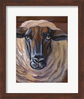 Barn Sheep Fine Art Print