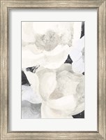 White Flowers on Black Fine Art Print