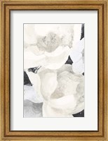 White Flowers on Black Fine Art Print