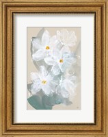 Narcissus II Fine Art Print