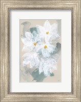 Narcissus I Fine Art Print